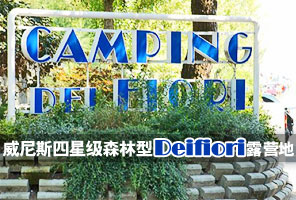 ���������˹������ŵ���Ǽ�ɭ����Deifiori¶Ӫ��