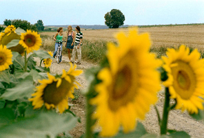 �µ������Ǽ������CampingSonnenland¶Ӫ��