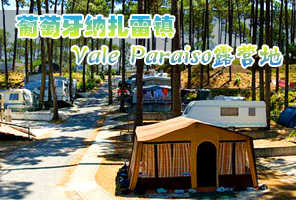 �����������������Ǽ�ɭ����Vale