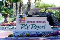 �������������Desert