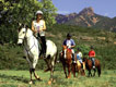 ����������˹��ɫ����ɭ�������Ǽ�Esterel¶Ӫ��