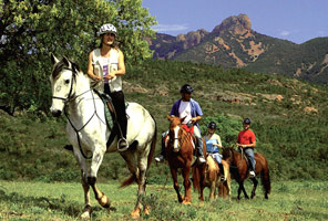 ����������˹��ɫ����ɭ�������Ǽ�Esterel¶Ӫ��