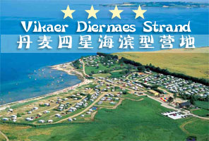 �������Ǽ�������Vikaer