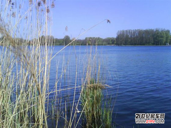 ���������������Ǽ�������Delftse Hout¶Ӫ��