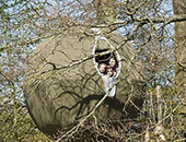 英推出奢华空中野营帐篷酷似UFO