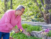 52��Ĵ����ڱ������⽨���˼�װ���һ�Դ