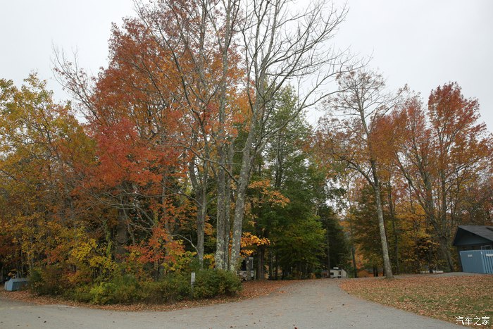 221741457a3a90807f2048.jpg 21.jpg