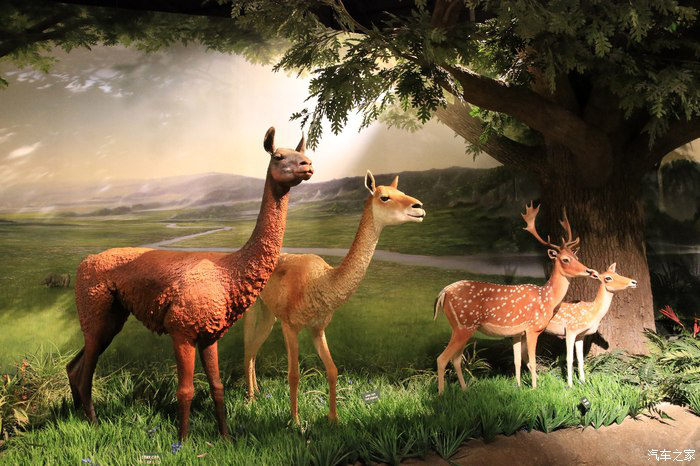 09140209db489d8eb83488.png 新建 Microsoft Word 97 - 2003 文档1310.png