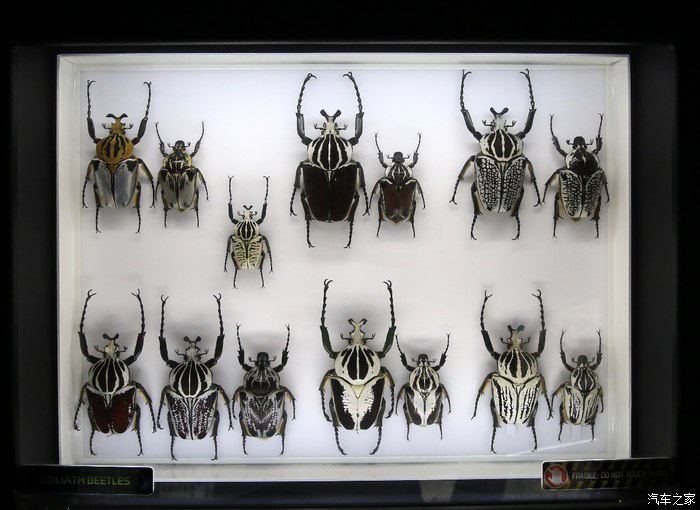 09140642497181949a8178.png 新建 Microsoft Word 97 - 2003 文档2641.png