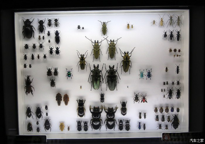 09140659854f84838f6507.png 新建 Microsoft Word 97 - 2003 文档2703.png