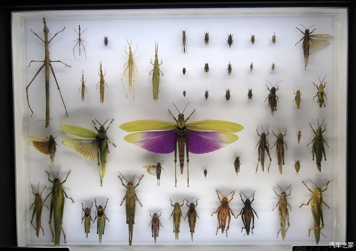 09140734a041b7f4741246.png 新建 Microsoft Word 97 - 2003 文档3061.png