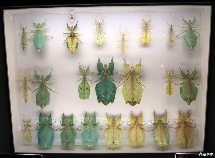 09140752d74001284c4295.png 新建 Microsoft Word 97 - 2003 文档3164.png