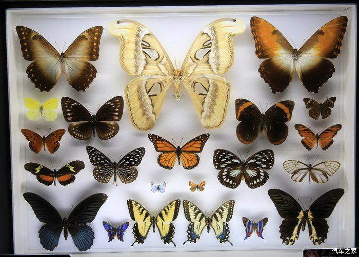 09140840e6b7f77cc56789.png 新建 Microsoft Word 97 - 2003 文档3282.png