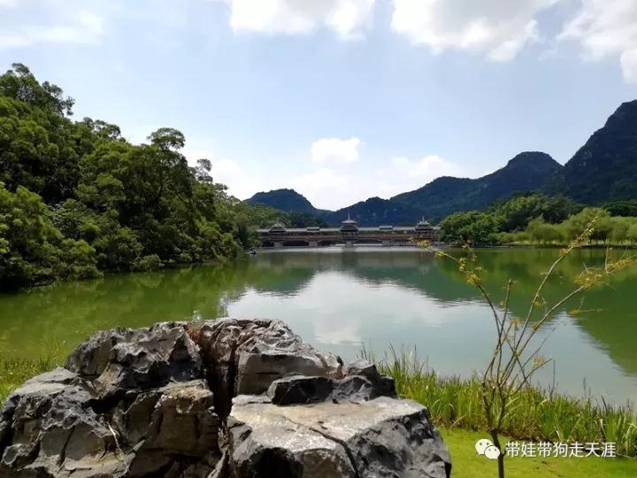 金秀镇有多少人口_金秀县桐木镇
