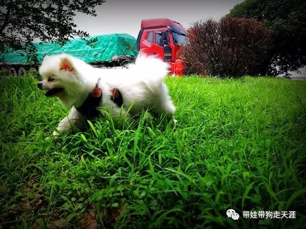 041626147c691556270726.jpg 微信图片_20180604154020.jpg