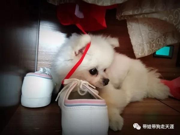 ΢��ͼƬ_20180604154036.jpg