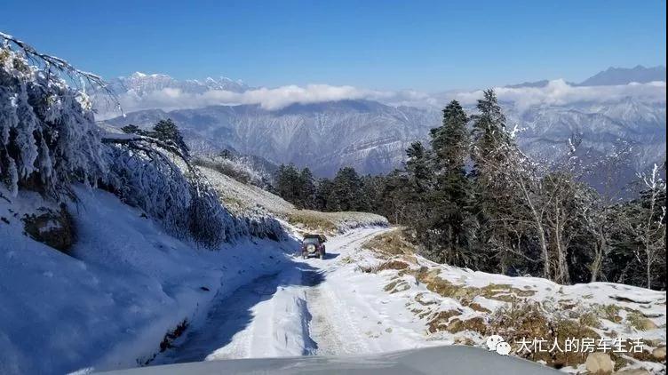 081020168546be25018534.jpg 微信图片_20180608100327.jpg