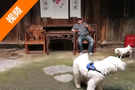 北京车友带两只狗房车旅行 4年玩了半个中国