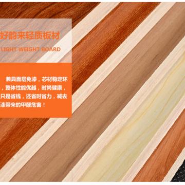 轻质进口PP膜房车家具板