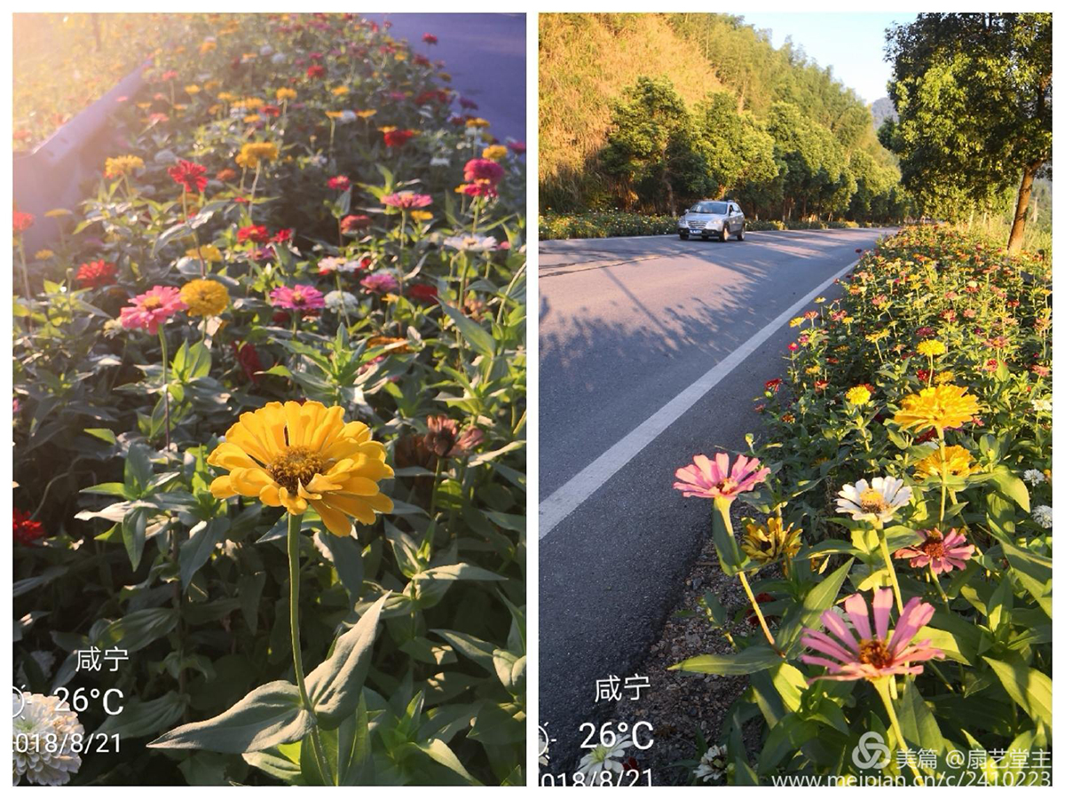 20152343275d7adcd88565.jpg 微信图片_20180920144052.jpg