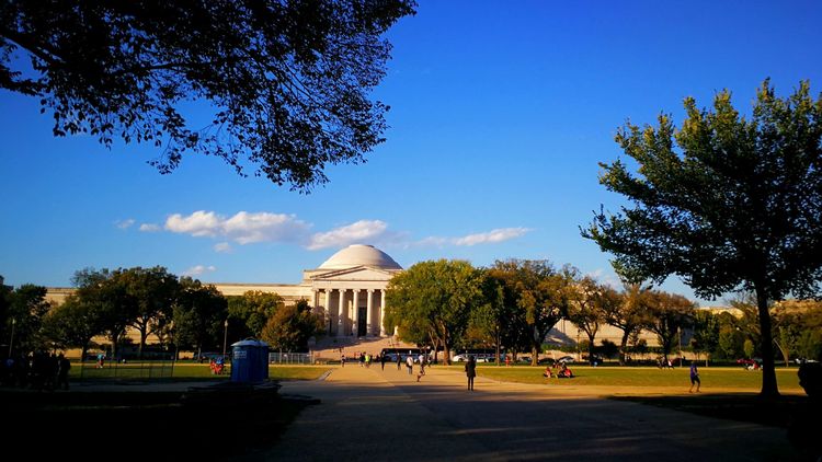 22103609d21288478d6838.jpg 12.jpg