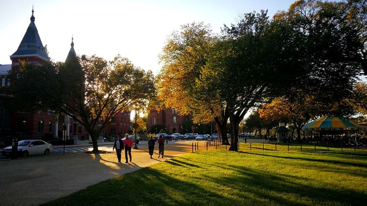 22103618b63fc181901293.jpg 14.jpg