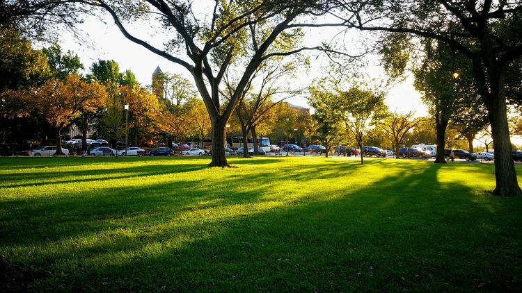 221036598179ae7ab37610.jpg 19.jpg