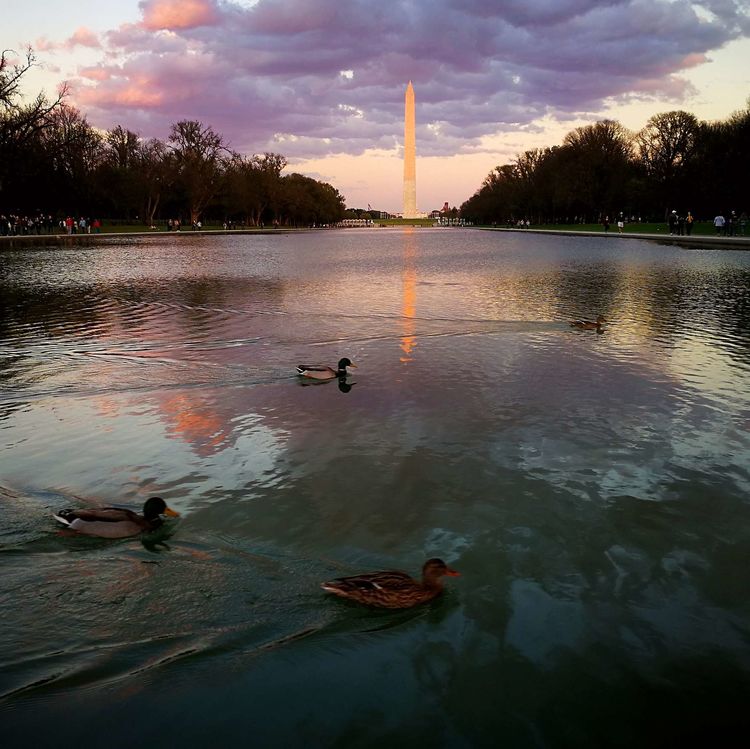 22103907fec5dbce097309.jpg 27.jpg