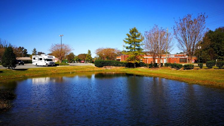 23113752329f50f7733672.jpg 1.jpg