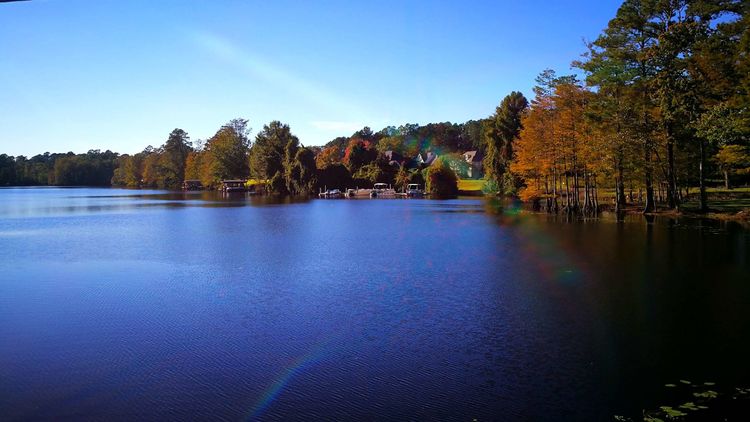 231138500137ef8a2e2312.jpg 3.jpg