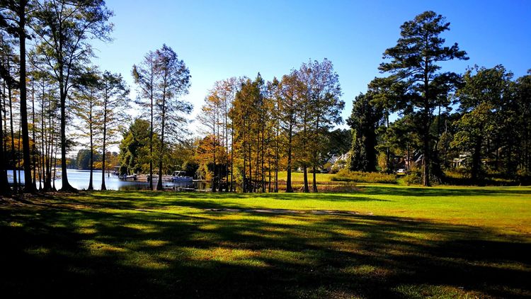 231138548419dbe4707664.jpg 4.jpg