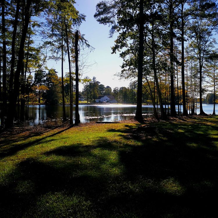 2311385863fe71d81e1475.jpg 5.jpg