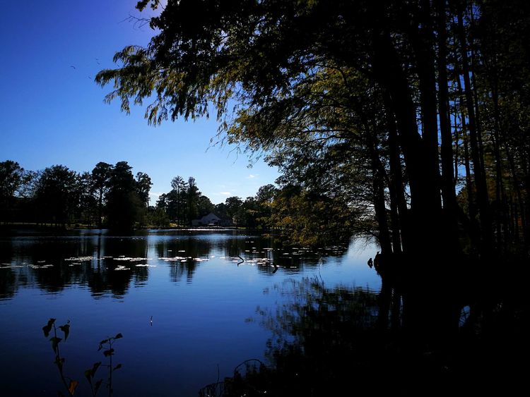 231139021b4941cf750035.jpg 6.jpg