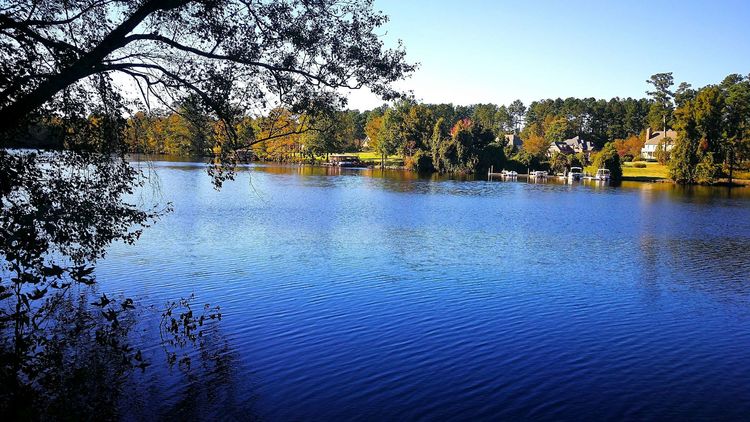 23113906d5deb550867274.jpg 7.jpg