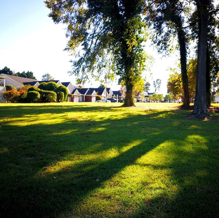 231139276e7b2620d38788.jpg 9.jpg