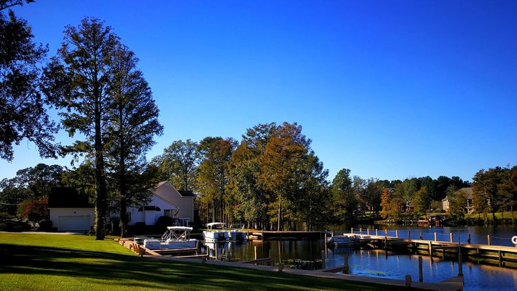 231139312afdedf1395660.jpg 10.jpg