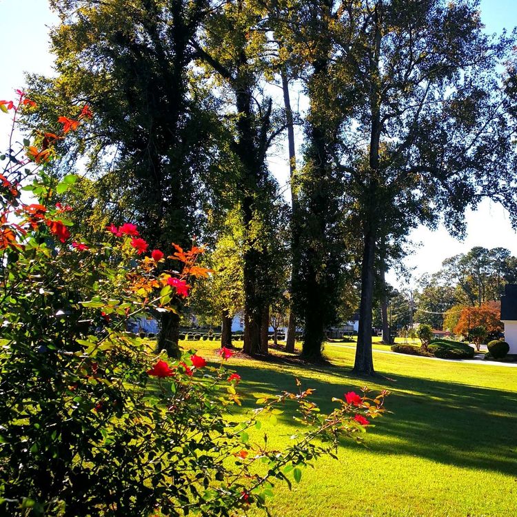 23113935f333a224f87179.jpg 11.jpg