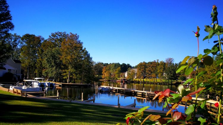 23113939523bac5a3b8627.jpg 12.jpg