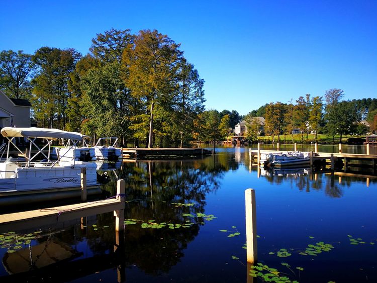 23113942262dc744c58222.jpg 13.jpg