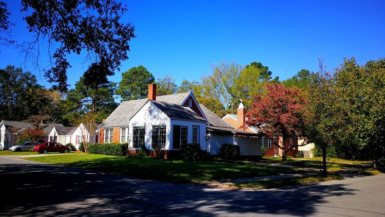 2311394715c51094ce8270.jpg 14.jpg