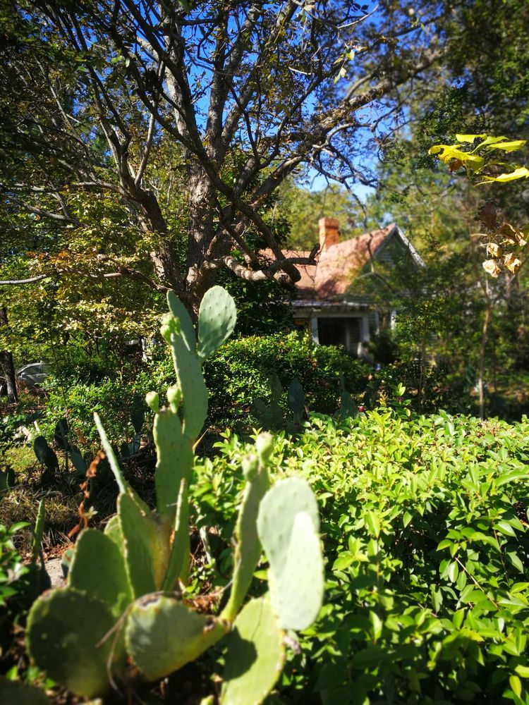 23114122f9921345b40450.jpg 24.jpg