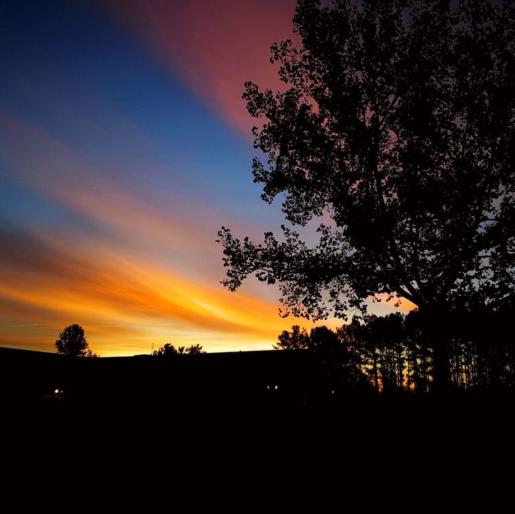 261017502efe908b3d1135.jpg 2.jpg