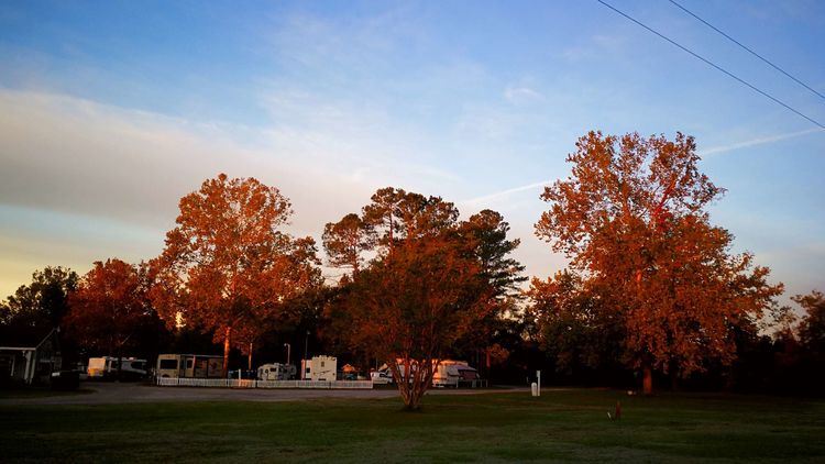 261018215c4c0882783873.jpg 4.jpg