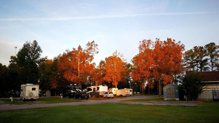 26101844435c3b5d2e6037.jpg 6.jpg