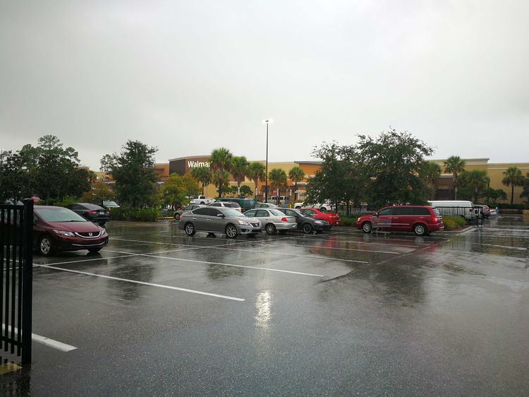 26101958b36d9dc8542990.jpg 13.jpg