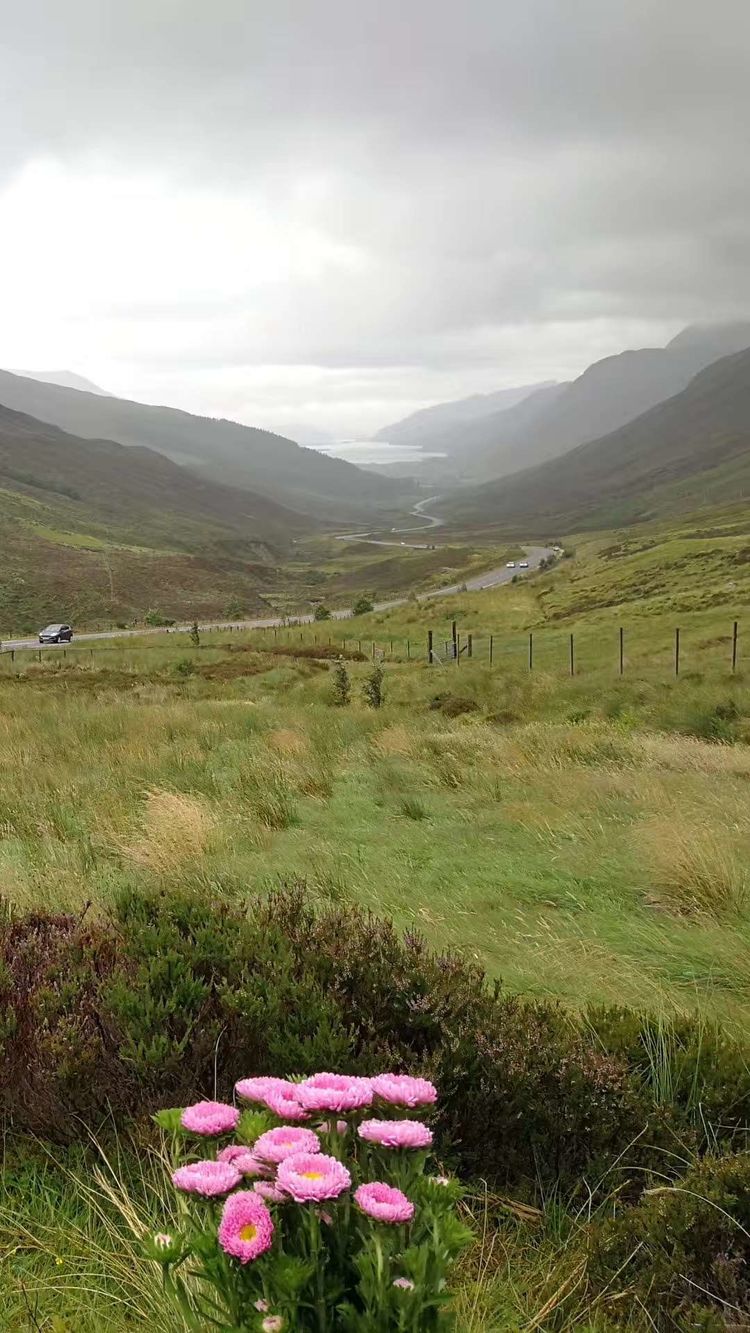 24150814f4fa8d4a2a1293.jpg 44.jpg