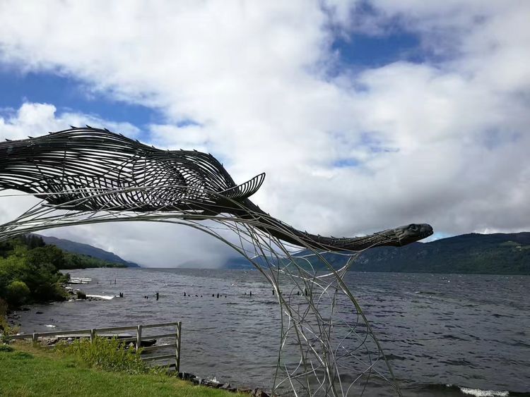 24150910f1a0cb02eb6392.jpg 46.jpg