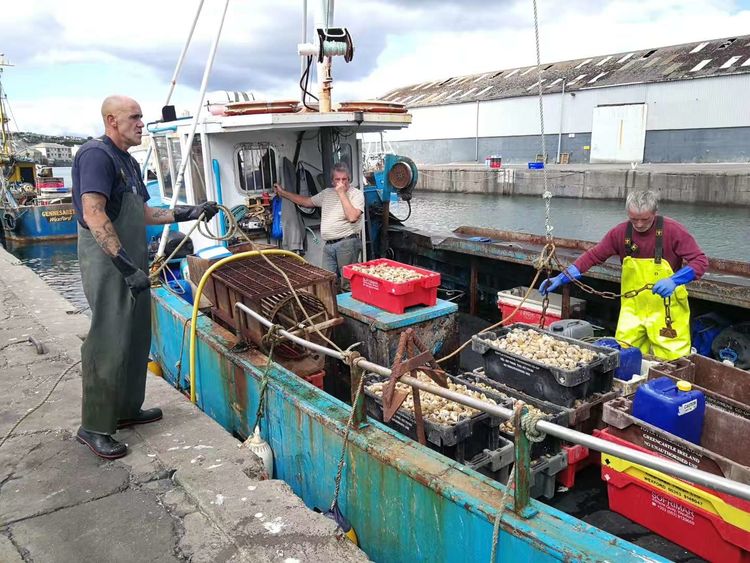 24151134d5099274f42564.jpg 56.jpg