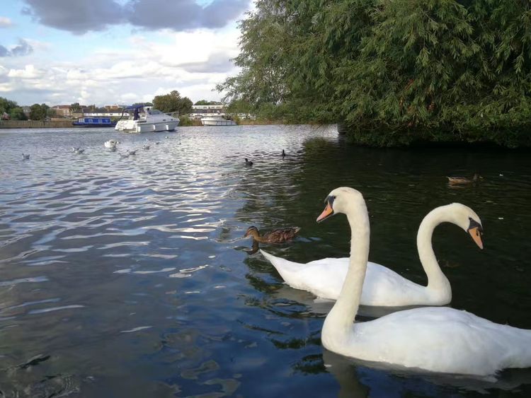 24151634868e57c6cc8057.jpg 72.jpg