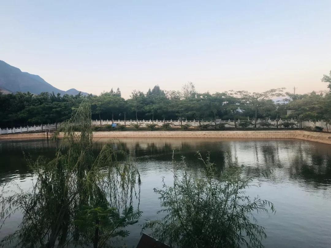 永胜县有多少人口_永胜县大安乡(3)